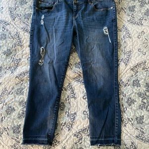 Torrid Premium Crop Jeans